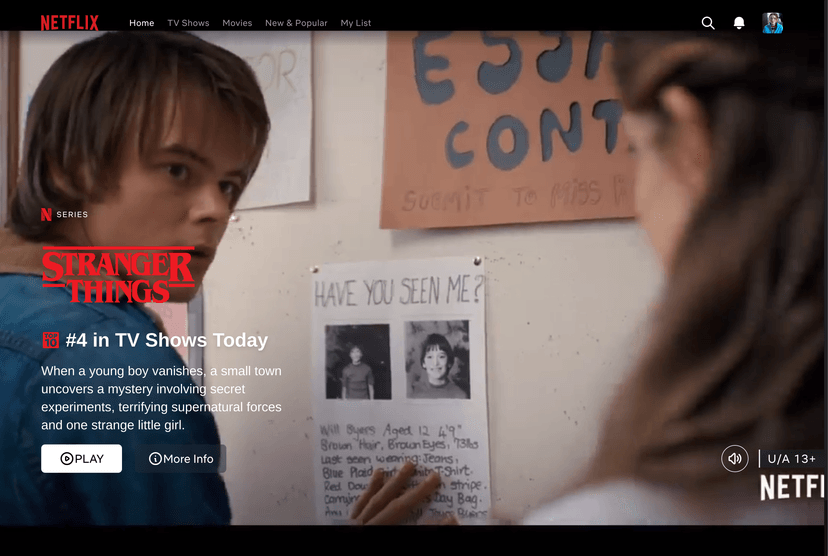 1 image of Netflix Landing Page